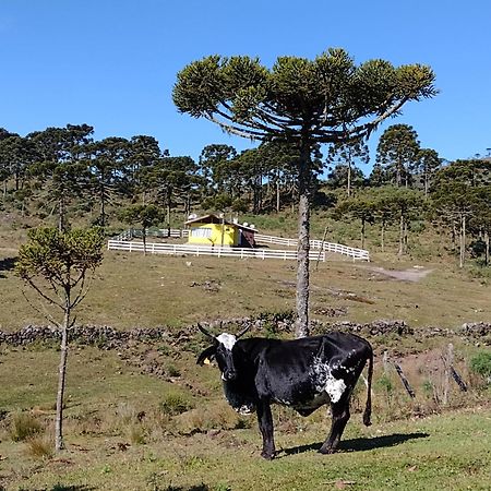 Casa E Cabana De Campo Fazenda Borba Urubici Exteriér fotografie