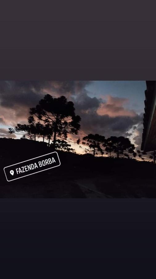 Casa E Cabana De Campo Fazenda Borba Urubici Exteriér fotografie