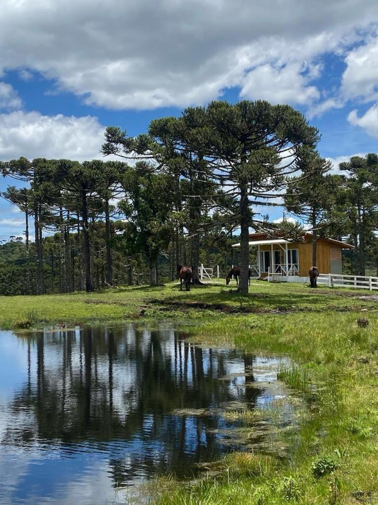 Casa E Cabana De Campo Fazenda Borba Urubici Exteriér fotografie