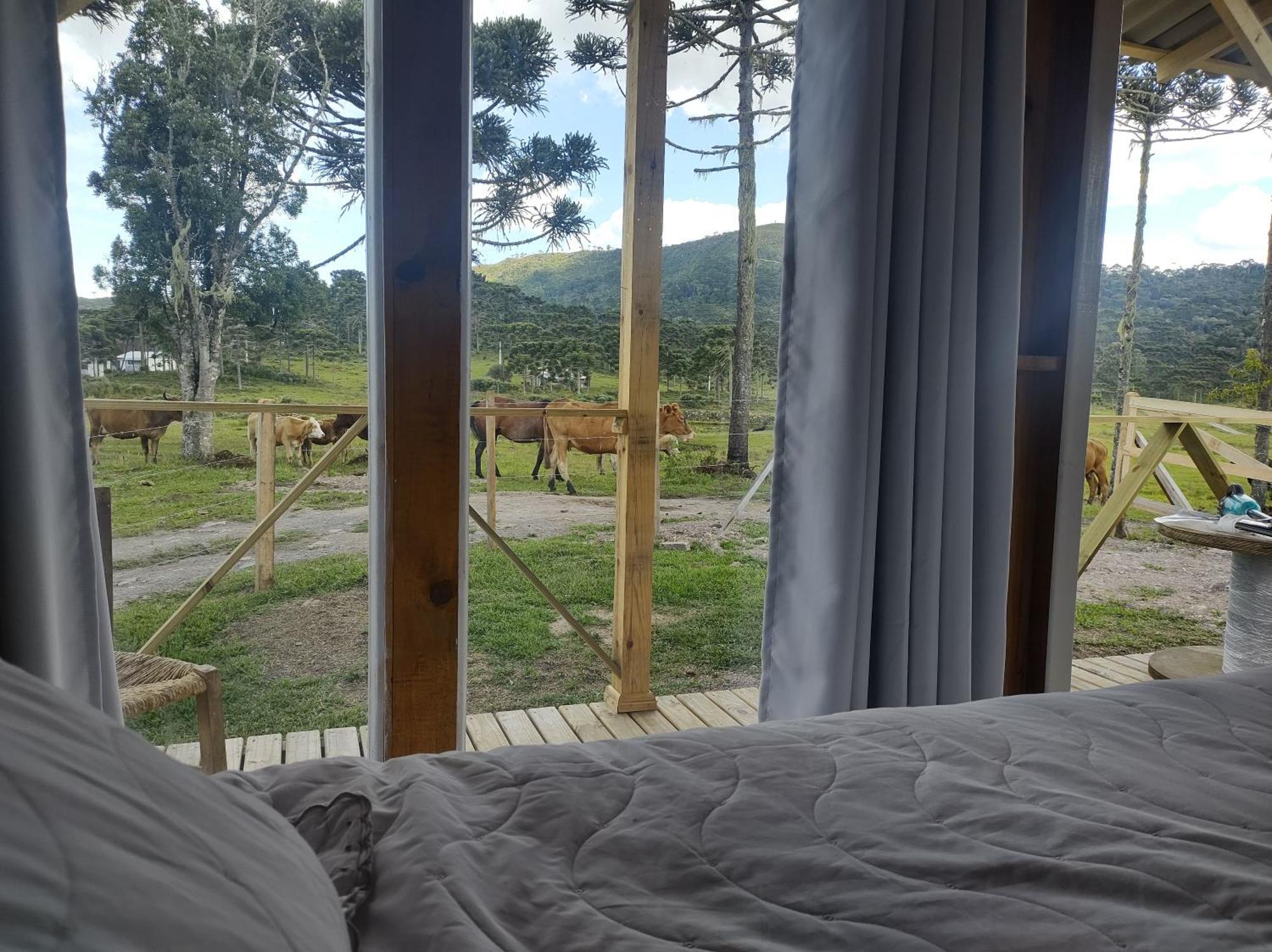 Casa E Cabana De Campo Fazenda Borba Urubici Pokoj fotografie