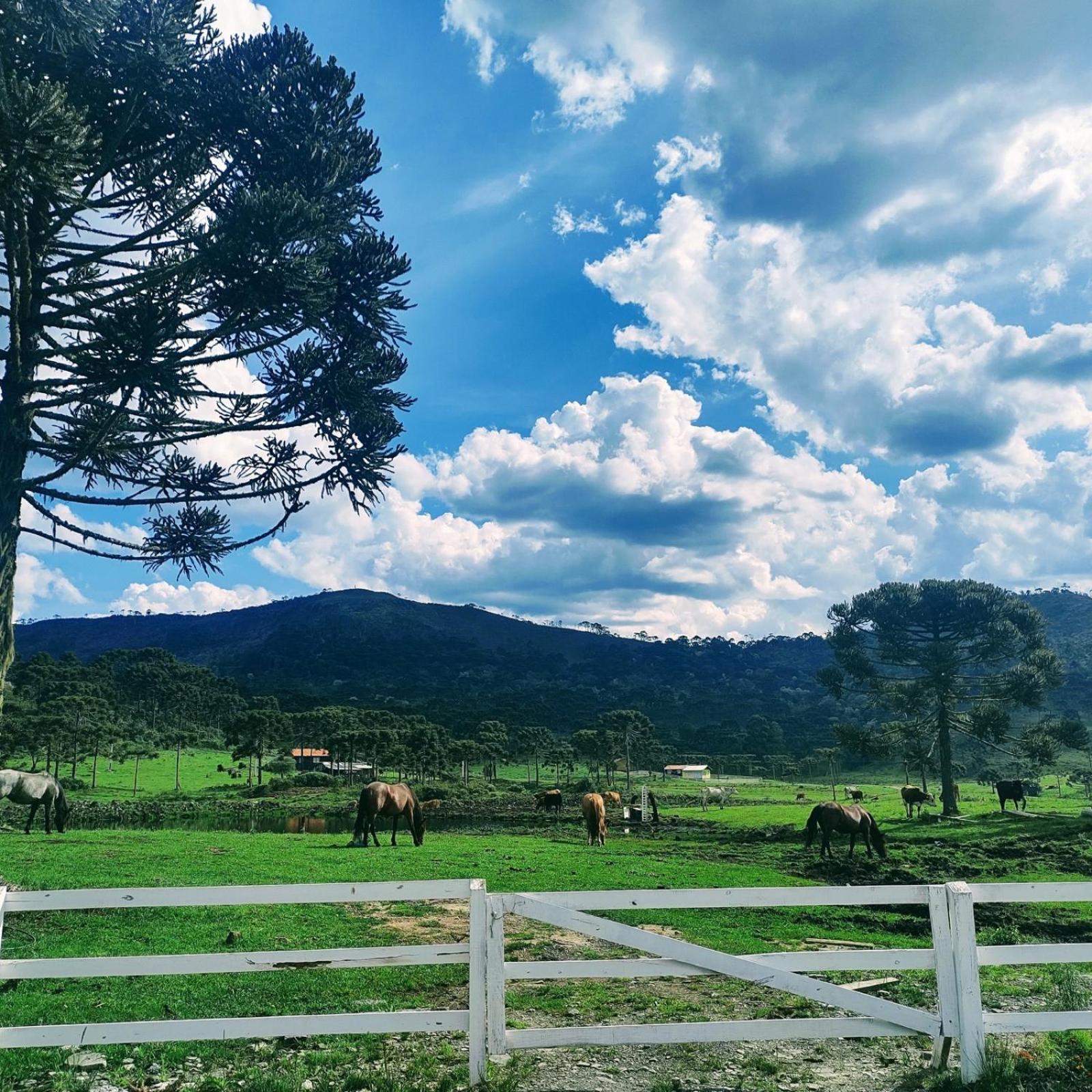 Casa E Cabana De Campo Fazenda Borba Urubici Exteriér fotografie