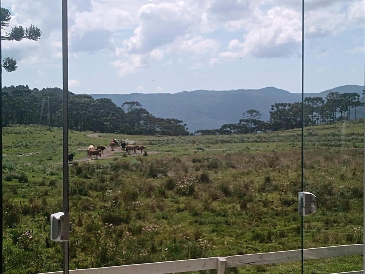 Casa E Cabana De Campo Fazenda Borba Urubici Exteriér fotografie