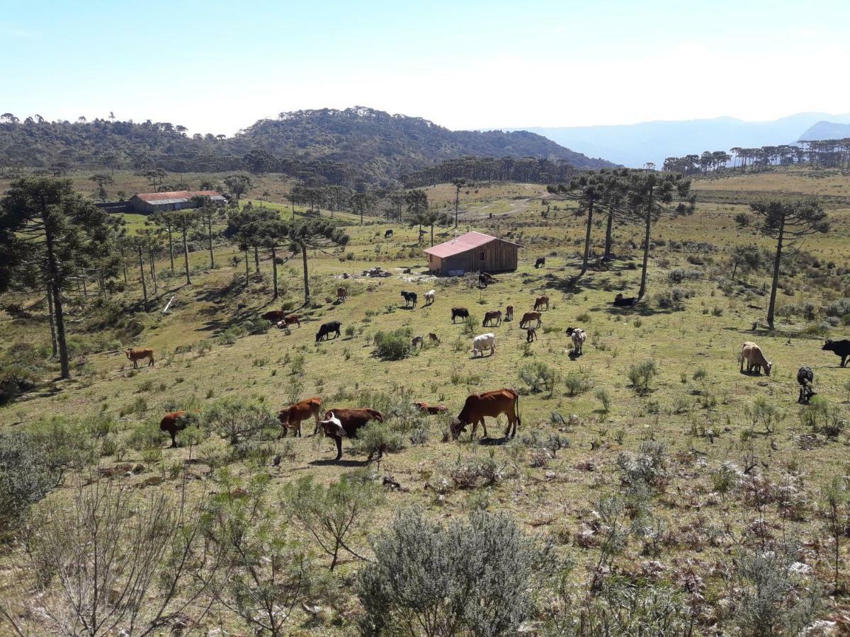 Casa E Cabana De Campo Fazenda Borba Urubici Exteriér fotografie
